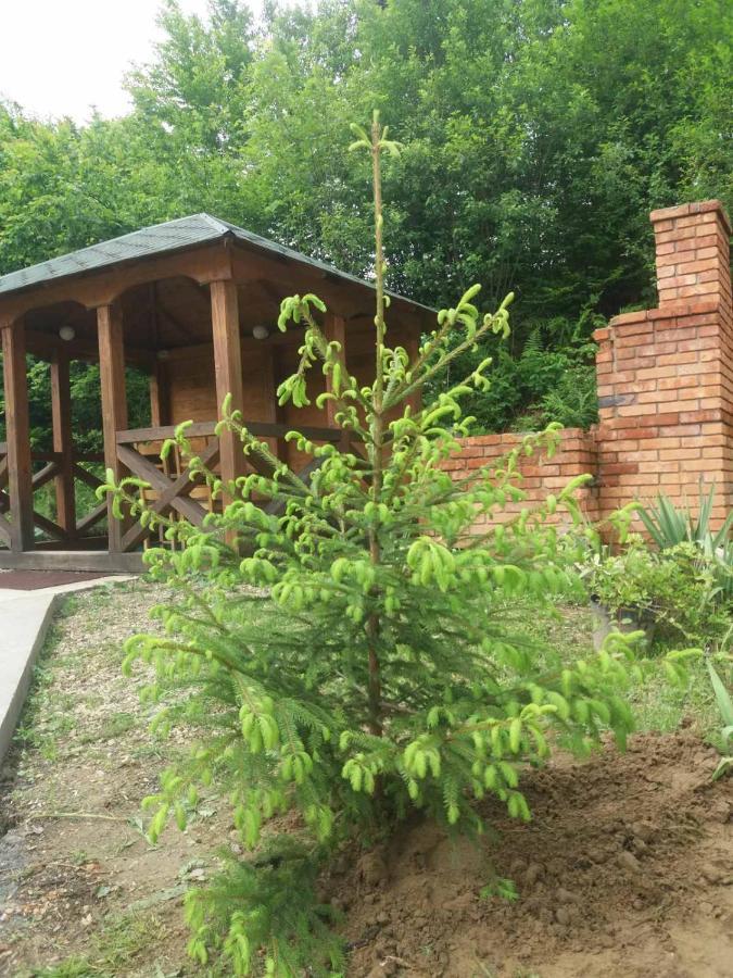 Villa Na Uzlissi ミホヴォ エクステリア 写真